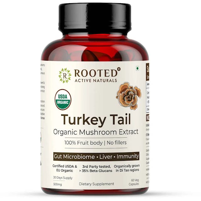 USDA Organic Turkey Tail Mushroom Extract.