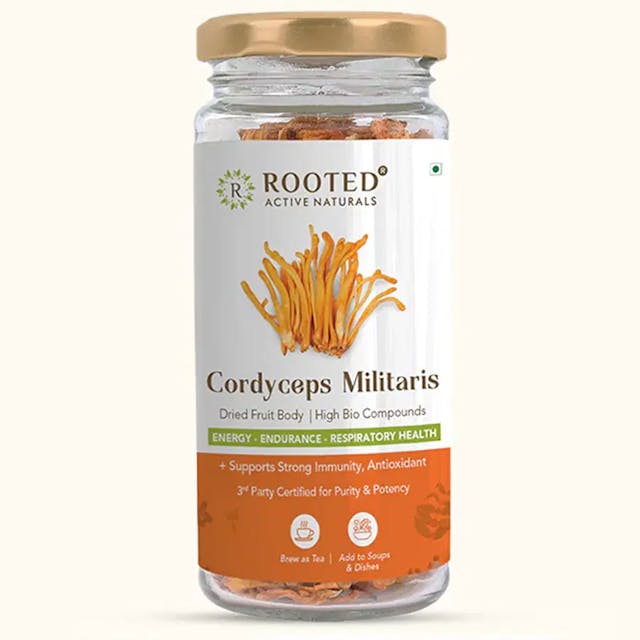 Rooted Actives Cordyceps Militaris (Dry Body) | Energy, Stamina, Supports Testosterone, Virility, Lung health | 25g, Organic